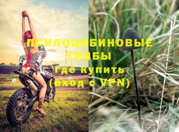 Альфа ПВП Покровск