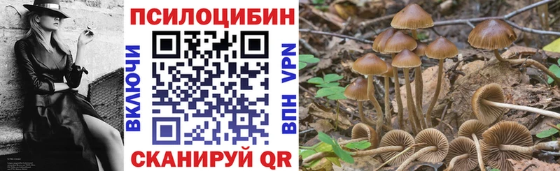 blacksprut ссылка  Выборг  Псилоцибиновые грибы MAGIC MUSHROOMS  наркошоп 