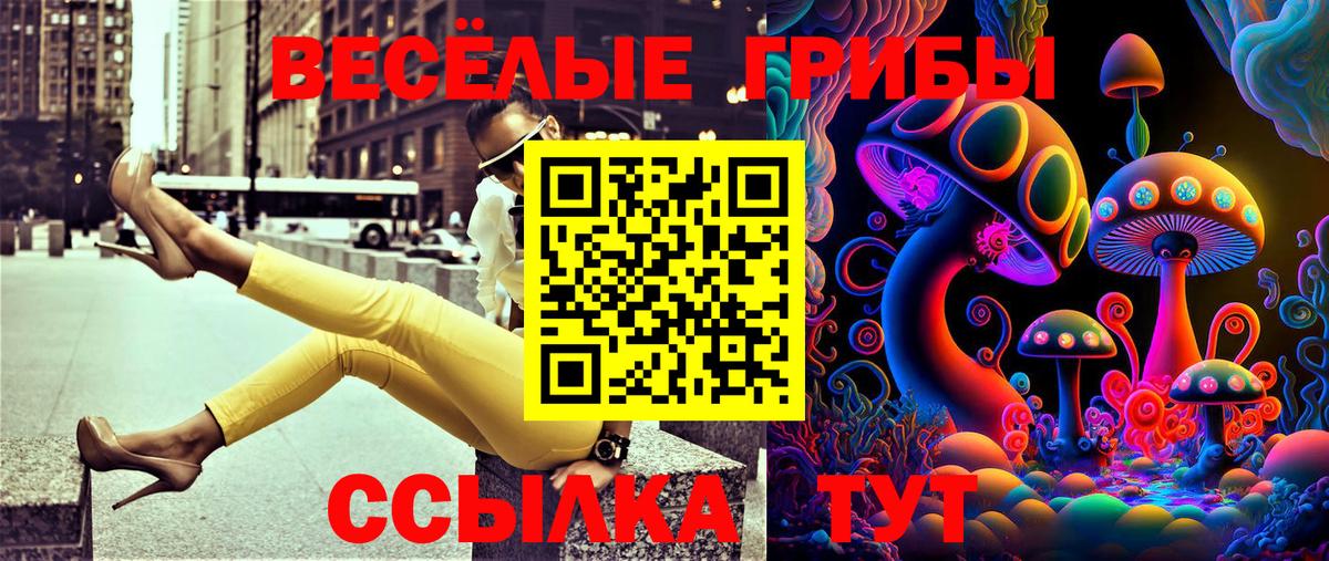 Галлюциногенные грибы Psilocybine cubensis  Выборг 