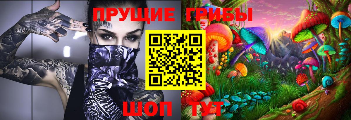 Выборг  Псилоцибиновые грибы Psilocybine cubensis  закладки  Вход с VPN  Галлюциногенные грибы MAGIC MUSHROOMS 