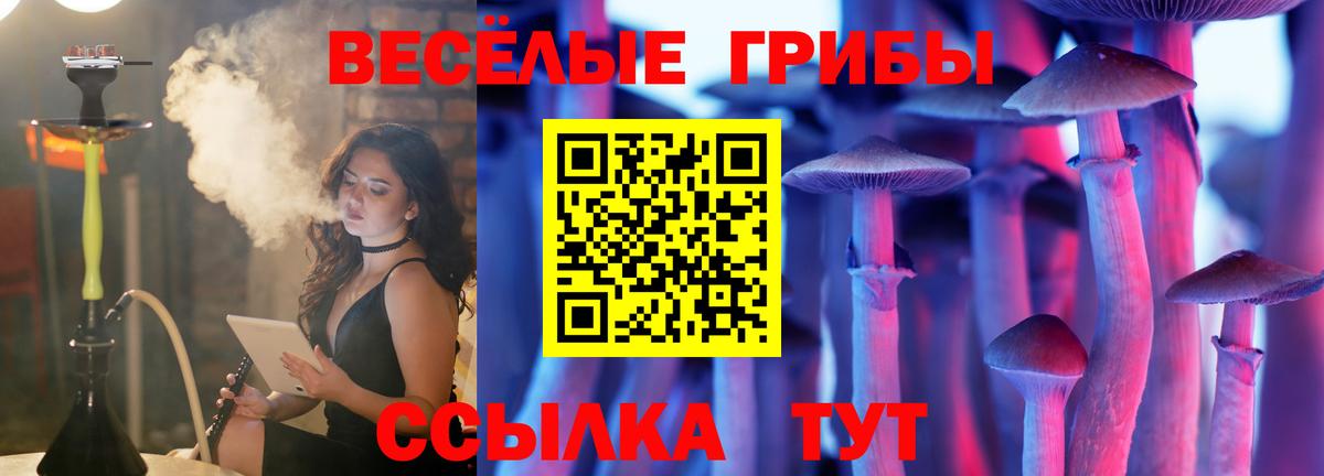 Псилоцибиновые грибы ЛСД Выборг